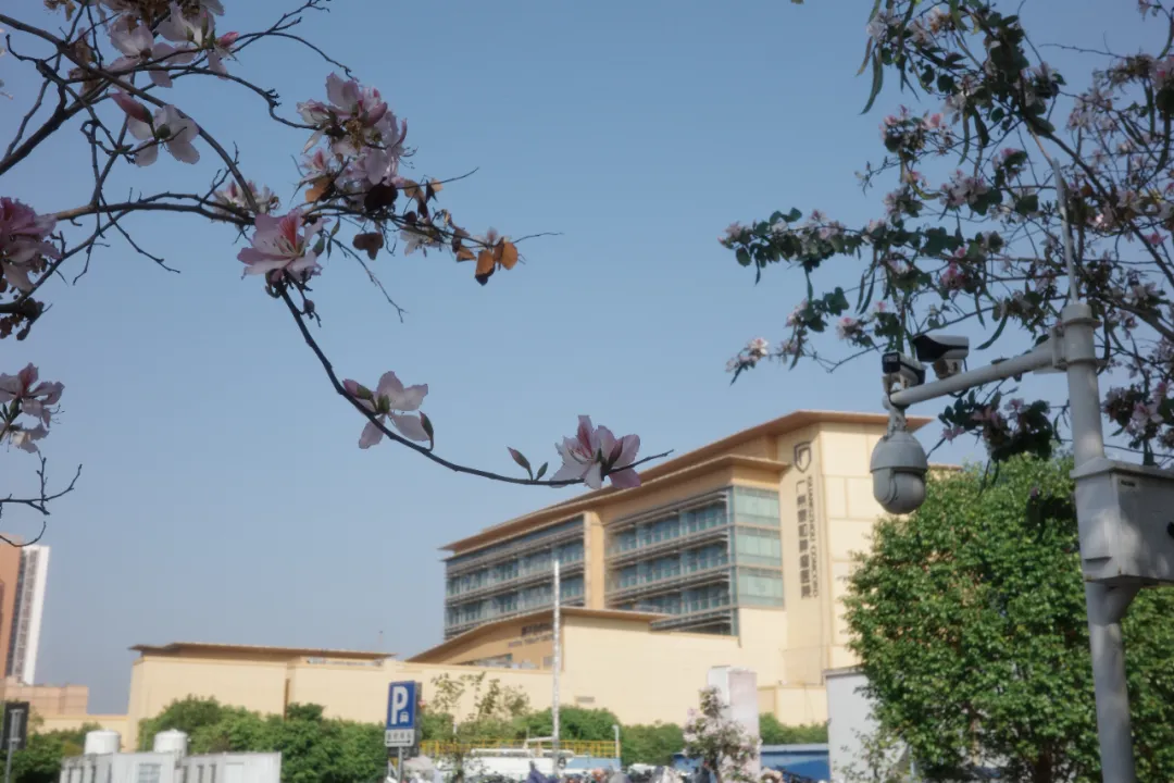 Guangzhou Concord Cancer Center exterior in spring